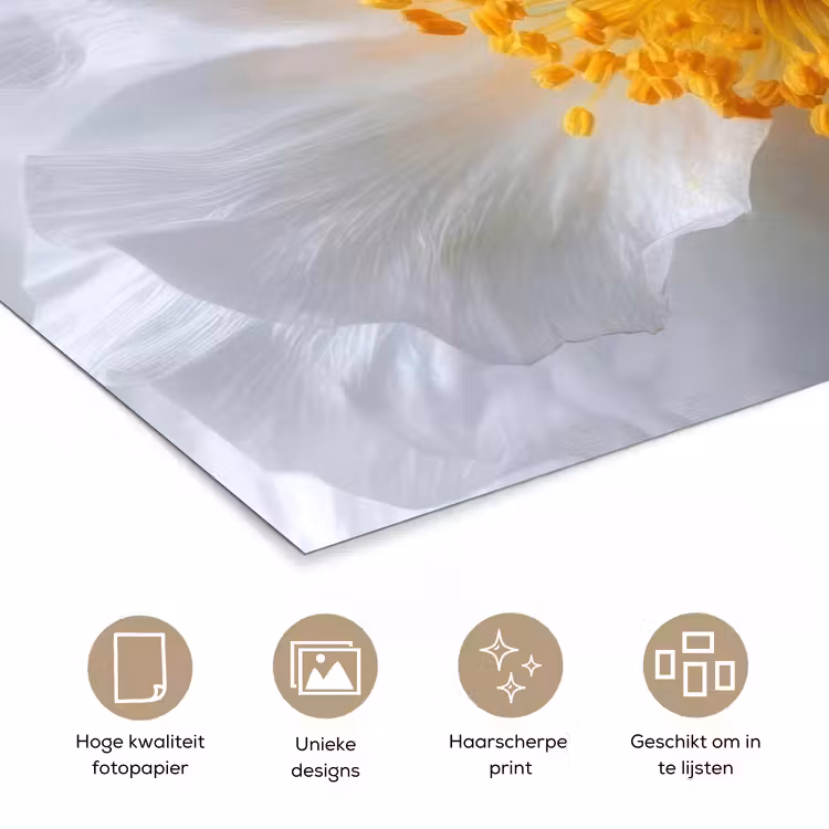 Wit - Bloem - Elegant poster papier klein -closeup_NL