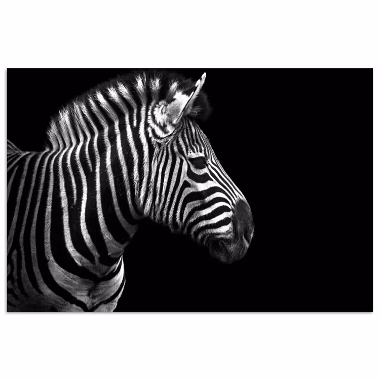 Zebra - Zwart - Wit - Portret - Dieren poster papier klein -3d