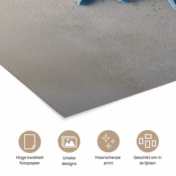 Zeesterren - Zand - Zee - Blauw poster papier klein -closeup_NL