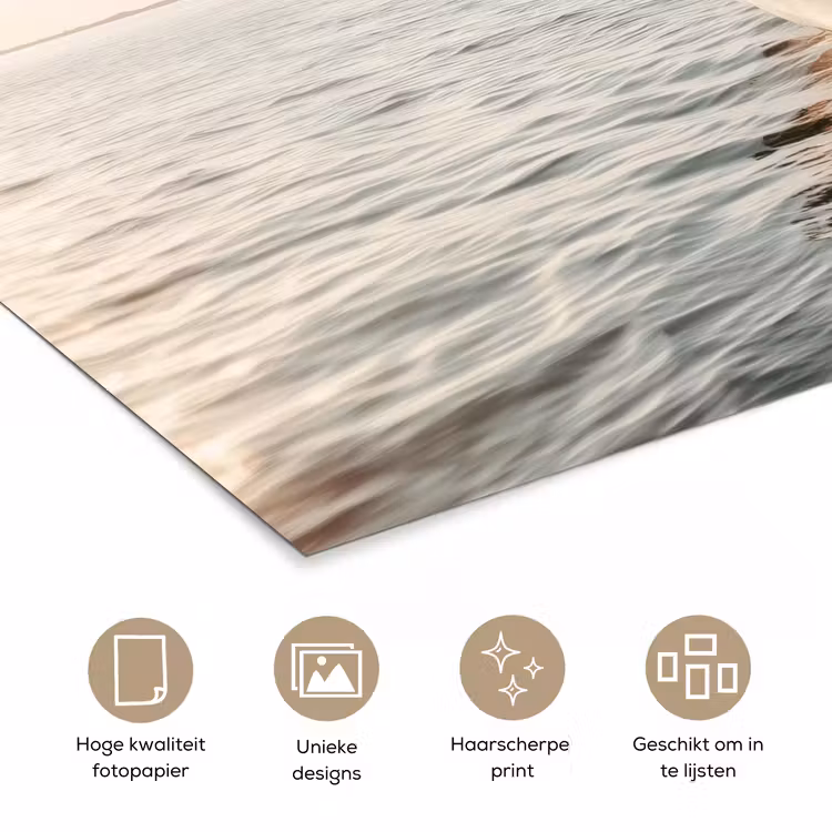 Zeilboot - Zee - Beige - Zon poster papier klein -closeup_NL