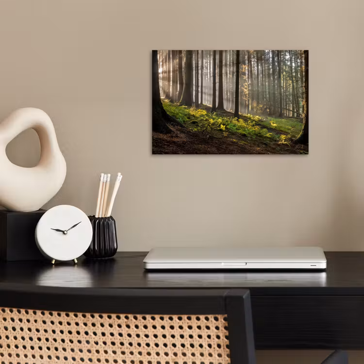 Zon - Takken - Bomen - Bos - Natuur poster papier klein -sfeer1
