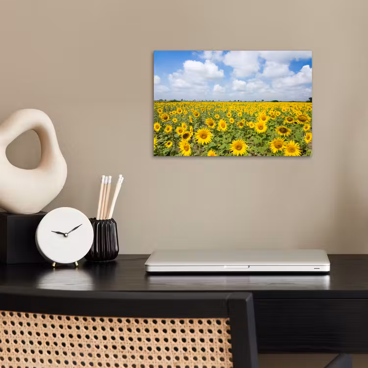 Zonnebloemen - Bloemen - Wolken - Natuur - Geel - Landschap poster papier klein -sfeer1