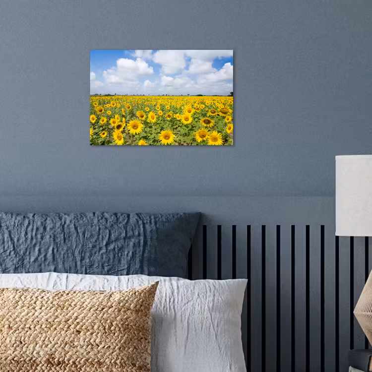 Zonnebloemen - Bloemen - Wolken - Natuur - Geel - Landschap poster papier klein -sfeer2