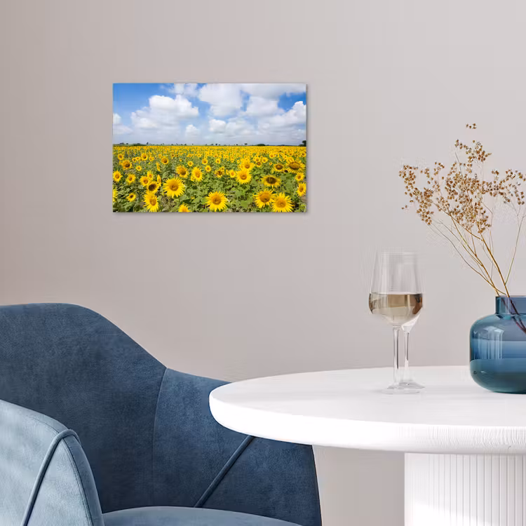 Zonnebloemen - Bloemen - Wolken - Natuur - Geel - Landschap poster papier klein -sfeer3