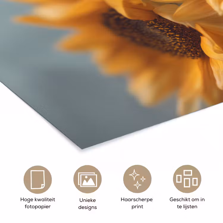 Zonnebloemen - Geel - Wazig poster papier klein -closeup_NL