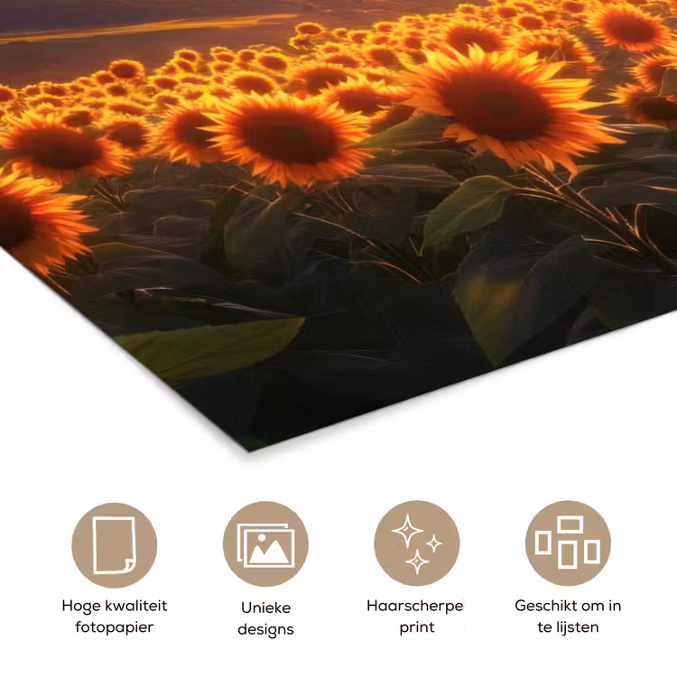 Zonnebloemen - Zonsondergang - Landschap poster papier klein -closeup_NL
