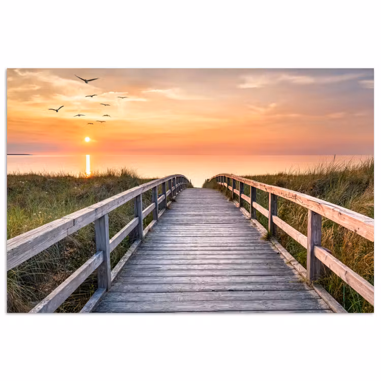 Zonsonderang - Zee - Pad - Gras - Duin - Vogels poster papier klein -3d