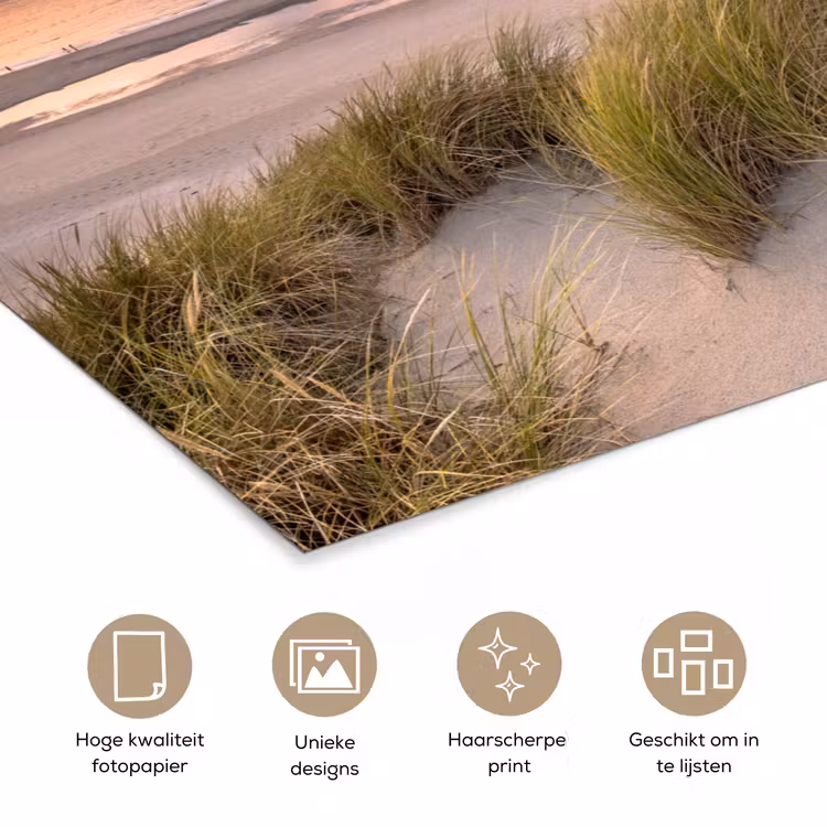 Zonsondergang - Duin - Strand - Planten - Zee poster papier klein -closeup_NL