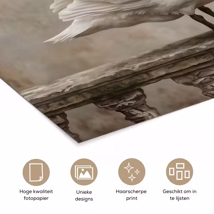 Zwaan - Elegant - Dieren - Wit poster papier klein -closeup_NL