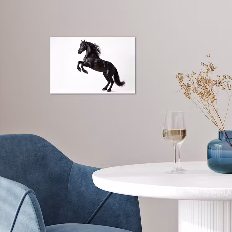 Zwart - Paard - Portret poster papier klein -sfeer3