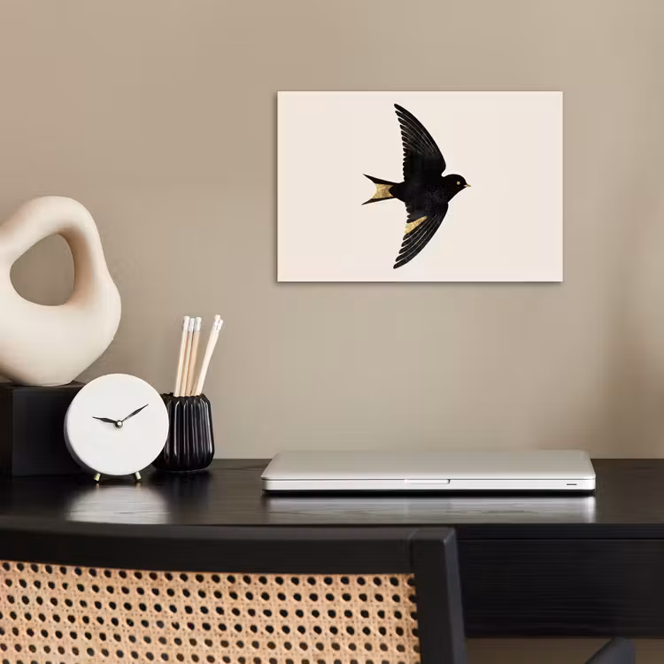 Zwarte zwaluw - Gouden accenten - Lichte achtergrond poster papier klein -sfeer1