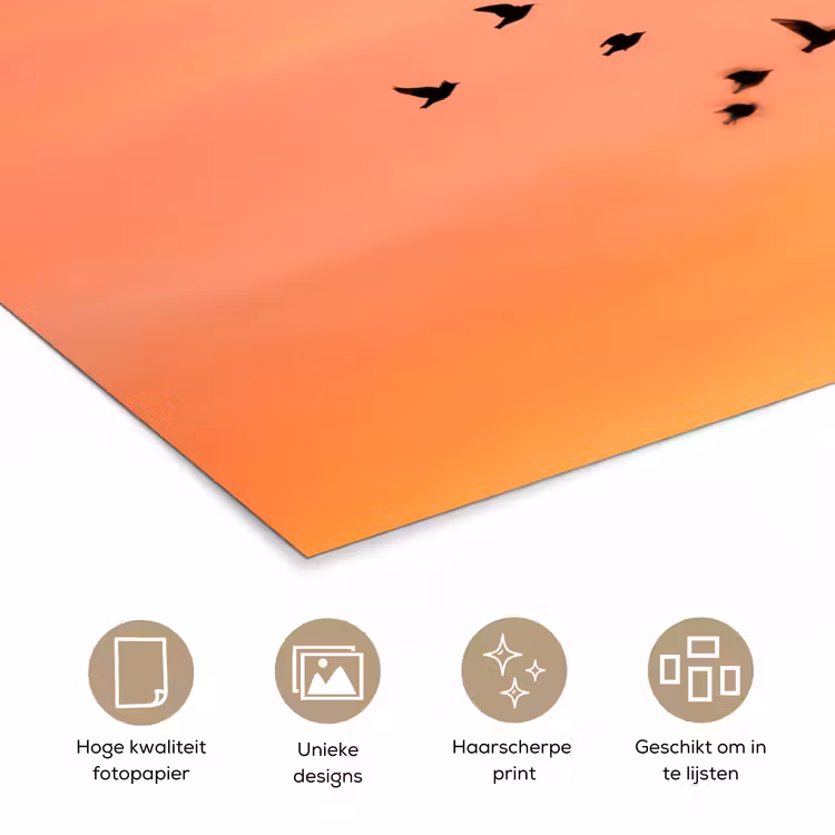 Zwerm - Vogels - Oranje poster papier klein -closeup_NL