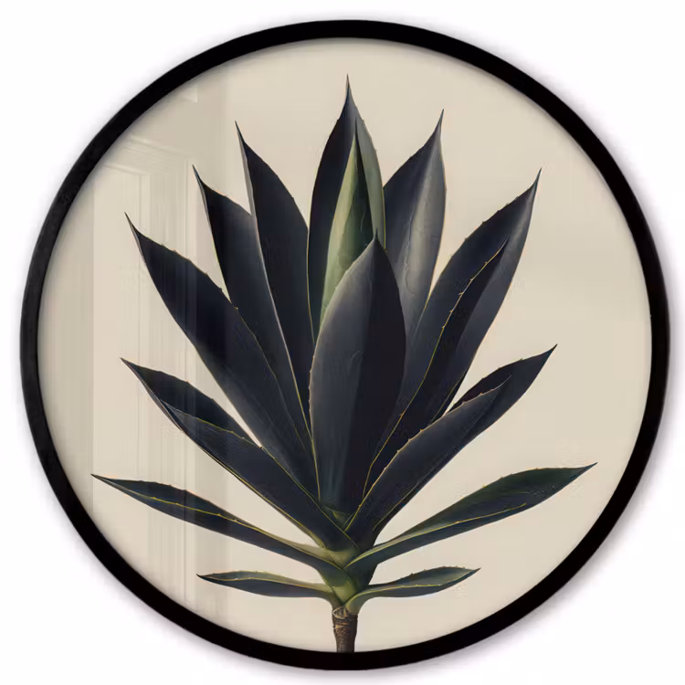 Agaveplant - Symmetrisch - Groen Fotolijst rond zonder passe partout klein -3d