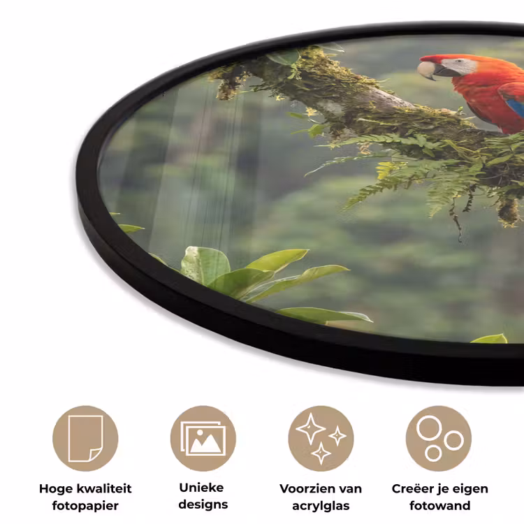 Ara - Jungle - Rood Fotolijst rond zonder passe partout klein -closeup_NL