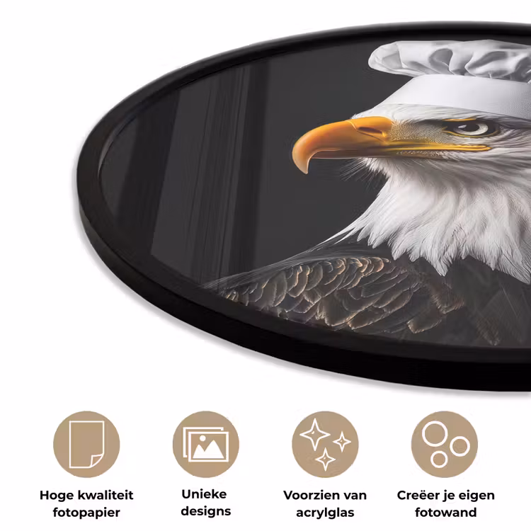 Arend -Amerika - Koksmuts - Vogel - Stoer Fotolijst rond zonder passe partout klein -closeup_NL