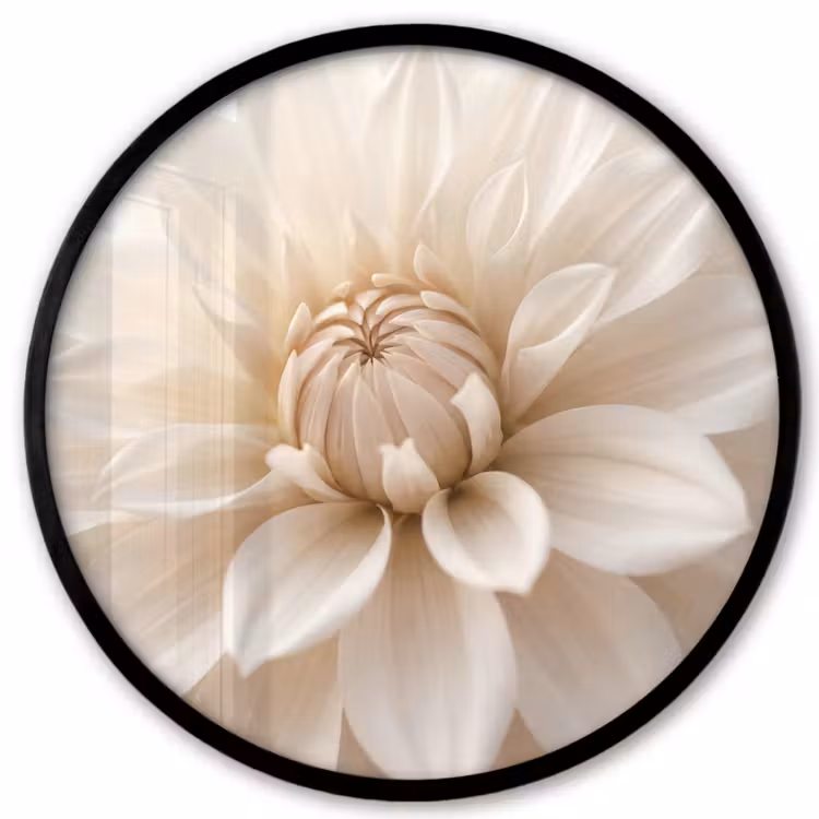 Bloem - Dahlia - Wit Fotolijst rond zonder passe partout klein -3d