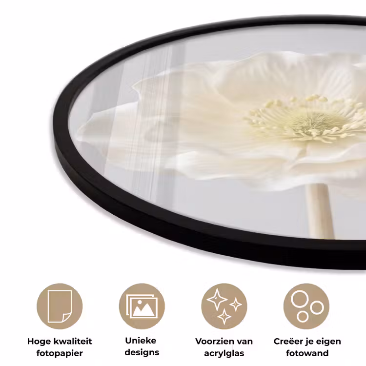 Bloem - Minimalistisch -Wit Fotolijst rond zonder passe partout klein -closeup_NL