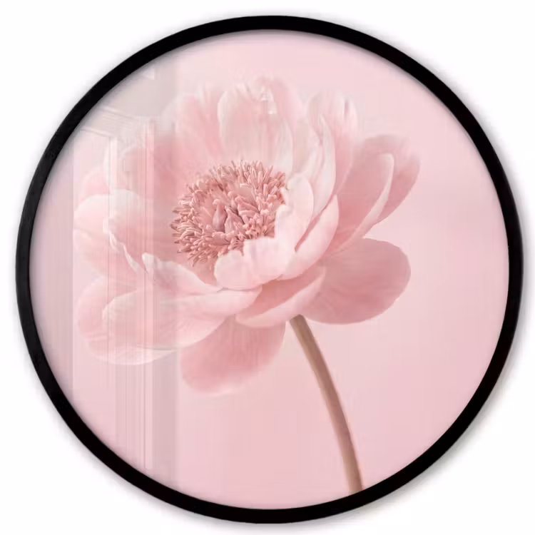 Bloem - Pioenroos - Roze Fotolijst rond zonder passe partout klein -3d