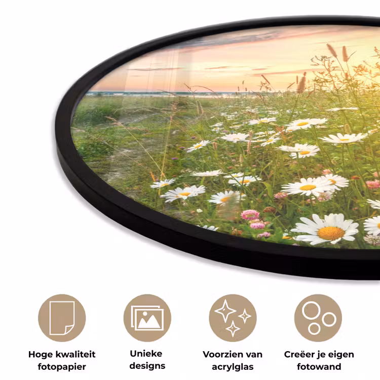 Bloemen - Madelief - Natuur - Zon - Horizon Fotolijst rond zonder passe partout klein -closeup_NL