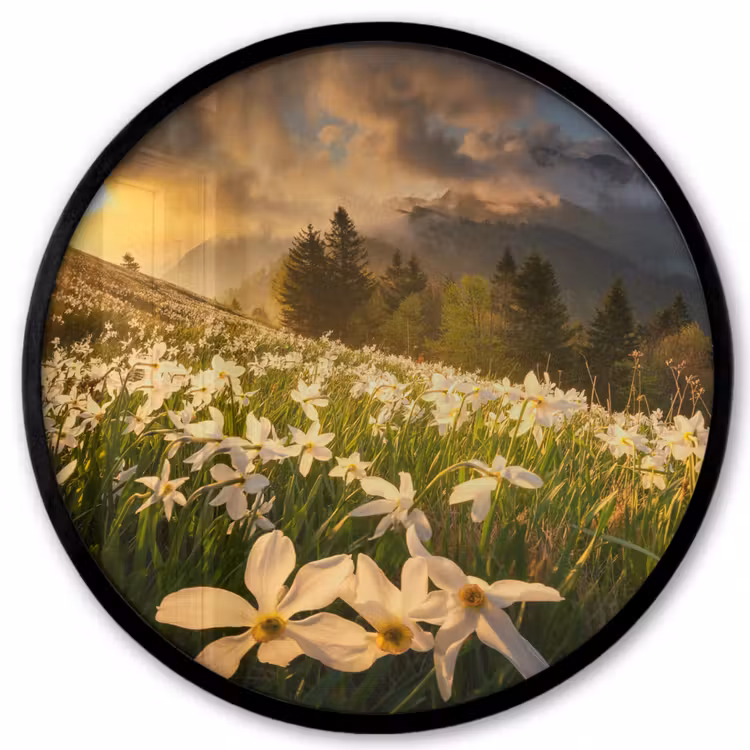 Bloemenveld - Heuvels - Zonsondergang - Berg - Natuur - Wit - Heuvels Fotolijst rond zonder passe partout klein -3d