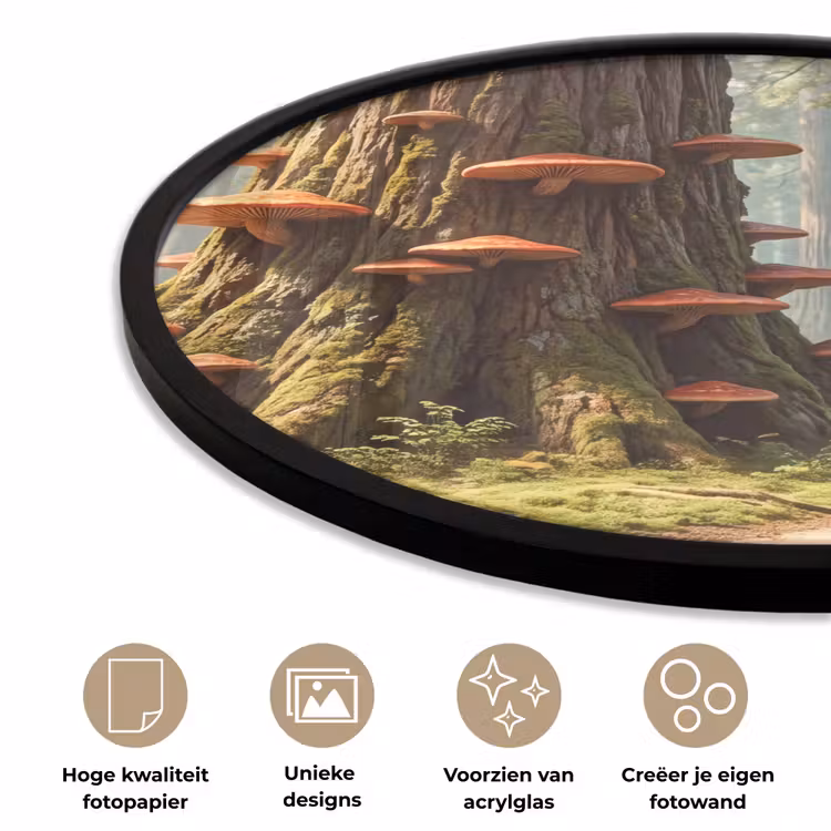 Ronde fotolijst - Bos - Bomen - Natuur - Bos - Bomen - Natuur Fotolijst rond zonder passe partout klein