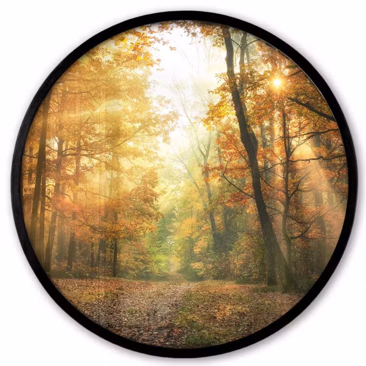 Bos - Herfst - Zon - Landschap - Natuur - Bomen - Bladeren Fotolijst rond zonder passe partout klein -3d