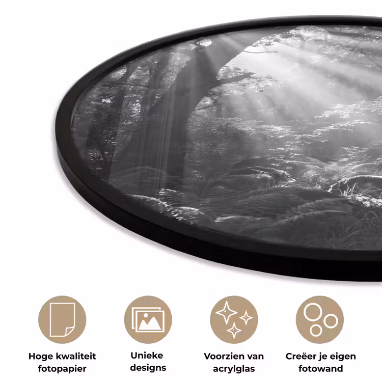 Bos - Lichtstralen - Natuur - Zwart-wit Fotolijst rond zonder passe partout klein -closeup_NL