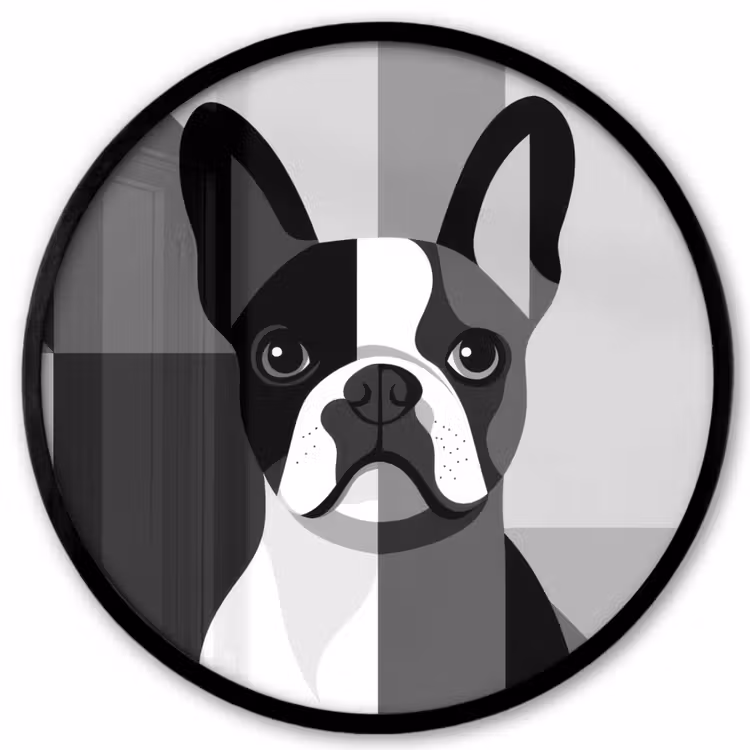 Buldog - Zwart - Abstract - Vlakken Fotolijst rond zonder passe partout klein -3d