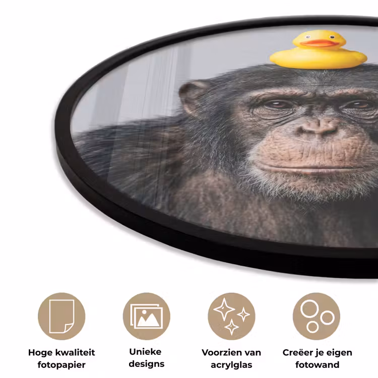 Chimpansee - Badeend - Grijs Fotolijst rond zonder passe partout klein -closeup_NL
