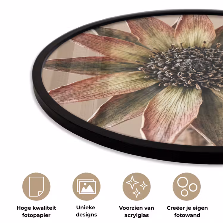 Droogbloem - Protea - Vintage - Beige - Rustiek Fotolijst rond zonder passe partout klein -closeup_NL