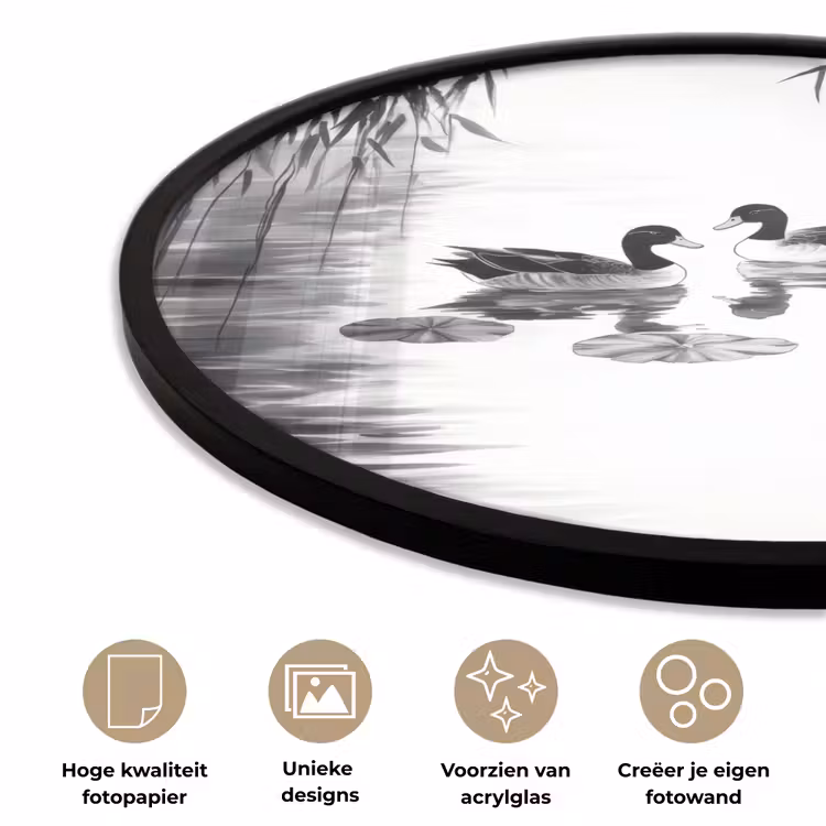 Eenden - Waterlelies - Riet - Zwart Fotolijst rond zonder passe partout klein -closeup_NL