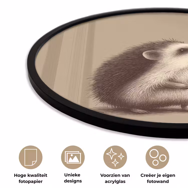 Egel - Snuitje - Bruin - Stekels Fotolijst rond zonder passe partout klein -closeup_NL