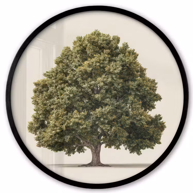 Eikenboom - Groen - Lichte achtergrond Fotolijst rond zonder passe partout klein -3d
