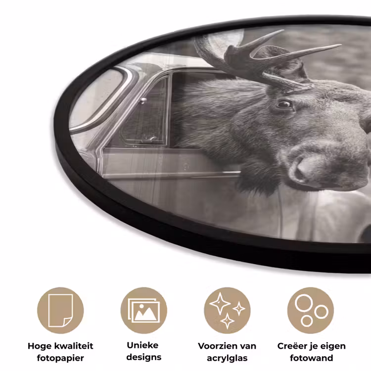 Eland - Auto - Gewei - Zwart - Wit Fotolijst rond zonder passe partout klein -closeup_NL