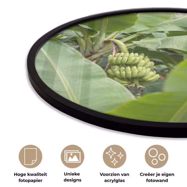 Eten - Bananen - Plantage - Groen Fotolijst rond zonder passe partout klein -closeup_NL