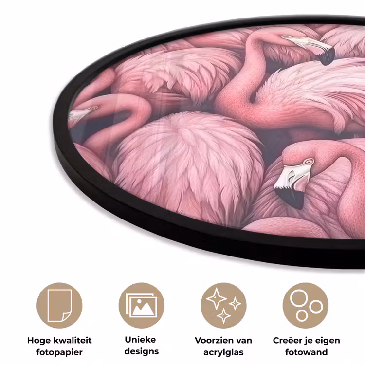 Flamingo - Roze - Dieren Fotolijst rond zonder passe partout klein -closeup_NL
