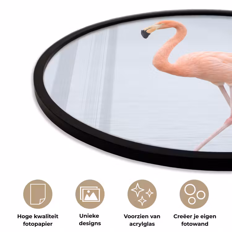 Flamingo - Zee - Roze Fotolijst rond zonder passe partout klein -closeup_NL