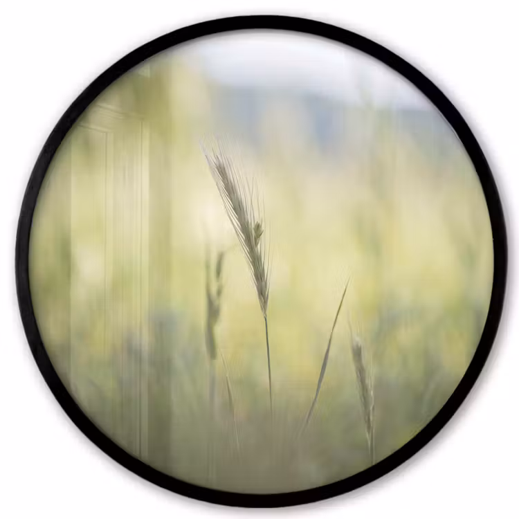 Graan - Aar - Natuur - Groen - Detail Fotolijst rond zonder passe partout klein -3d