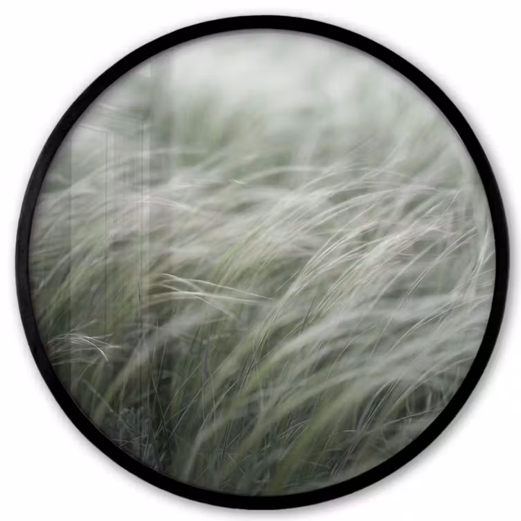 Gras - Wazig - Natuur - Groen - Zacht Fotolijst rond zonder passe partout klein -3d