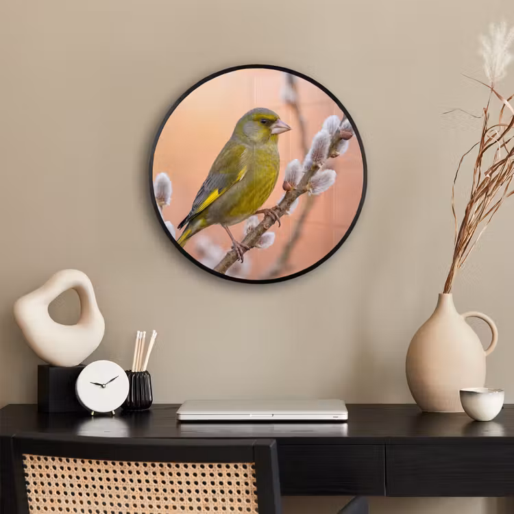 Groenling - Katjes - Lente - Natuur - Zacht Fotolijst rond zonder passe partout klein -sfeer1