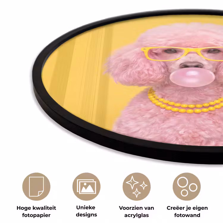 Hond - Kauwgum - Dieren - Modern - Roze Fotolijst rond zonder passe partout klein -closeup_NL