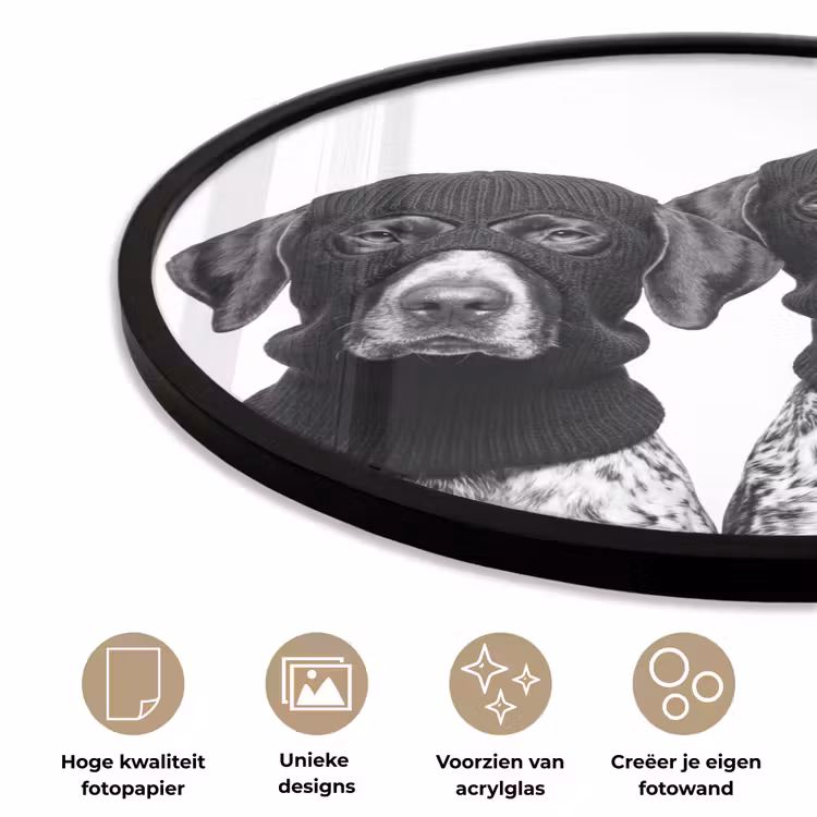 Honden - Bivakmuts - Zwart - wit Fotolijst rond zonder passe partout klein -closeup_NL