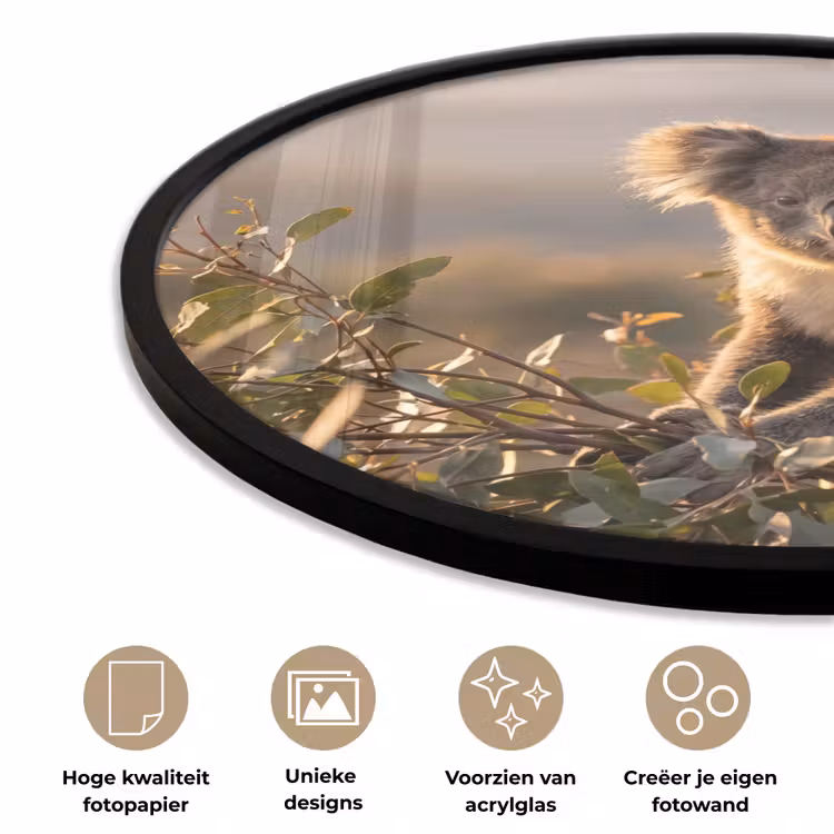 Koala - Bladeren - Ochtendlicht Fotolijst rond zonder passe partout klein -closeup_NL
