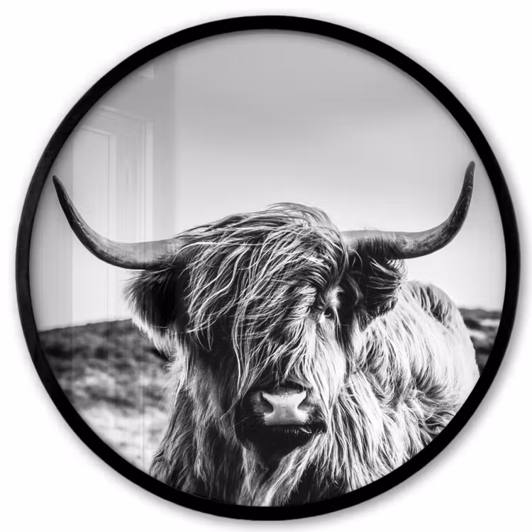 Koe - Schotse hooglander - Zwart - Wit - Dier - Natuur - Wild Fotolijst rond zonder passe partout klein -3d
