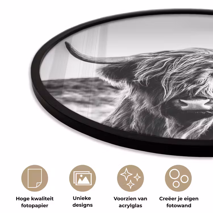 Koe - Schotse hooglander - Zwart - Wit - Dier - Natuur - Wild Fotolijst rond zonder passe partout klein -closeup_NL