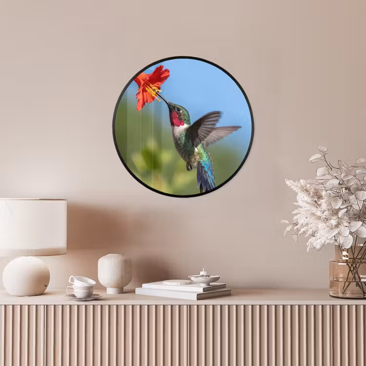 Kolibrie - Bloem - Natuur - Groen Fotolijst rond zonder passe partout klein -sfeer3