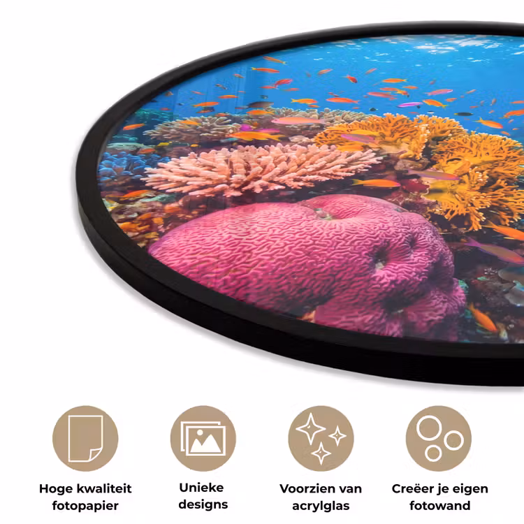 Koraal - Vissen - Oceaan - Natuur - Kleurrijk Fotolijst rond zonder passe partout klein -closeup_NL