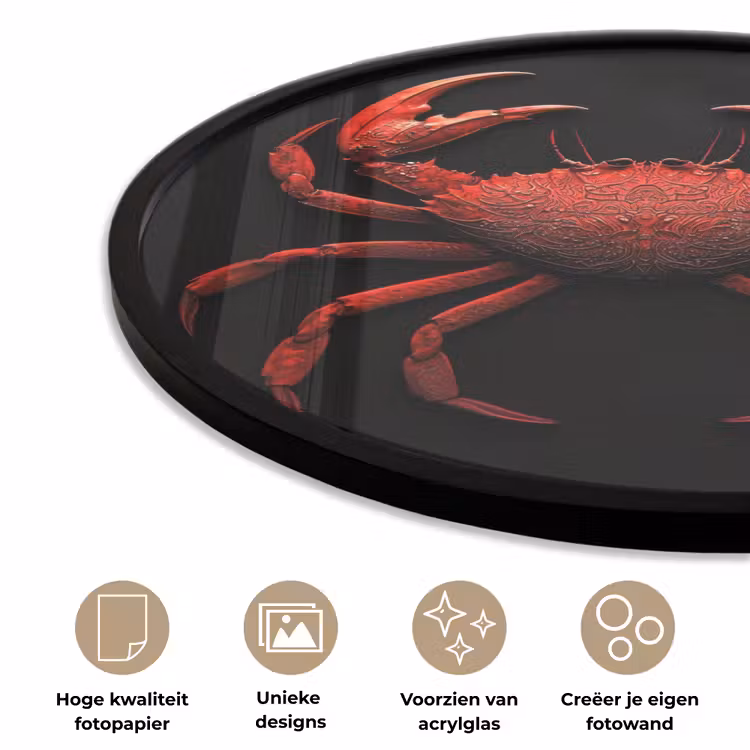 Krab - Rood - Vissen - Schaaldieren Fotolijst rond zonder passe partout klein -closeup_NL