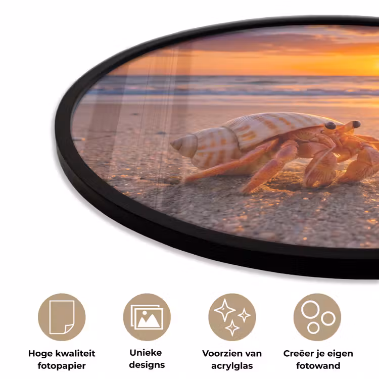 Kreeft - Strand - Natuur - Zonsondergang - Oranje Fotolijst rond zonder passe partout klein -closeup_NL