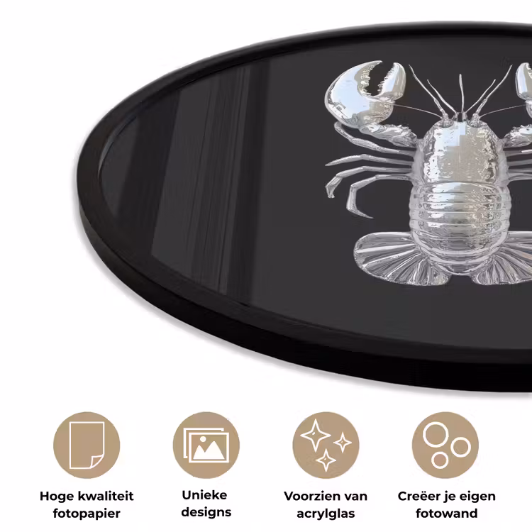 Kreeft - Zilver - Metallic - Luxe Fotolijst rond zonder passe partout klein -closeup_NL